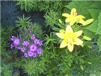 c3b06de3-Picture 002.jpg